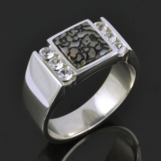 Gray dinosaur bone and white sapphire ring in sterling silver.